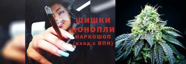 ПСИЛОЦИБИНОВЫЕ ГРИБЫ Беломорск