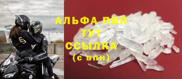 гашик Белокуриха